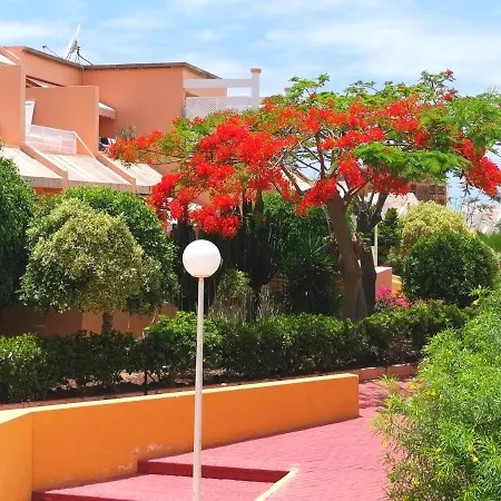 Orlando Torviscas Bajo