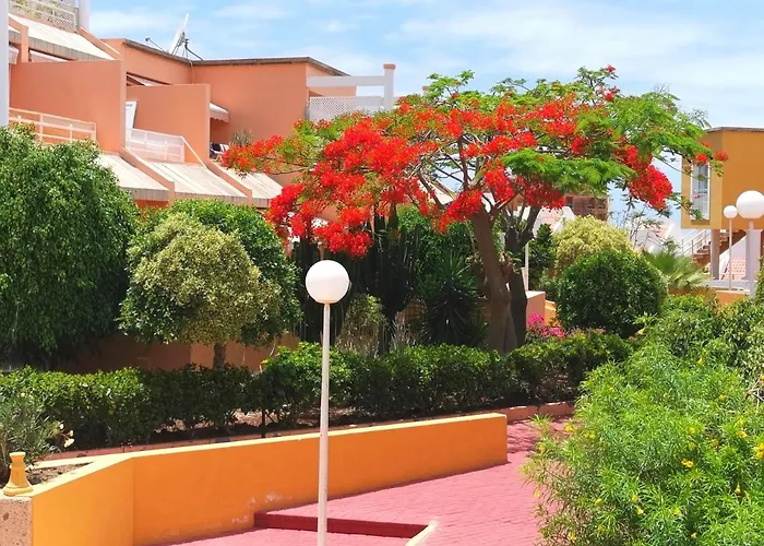 Orlando Torviscas Bajo