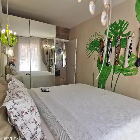 Orlando Torviscas Bajo אדחה